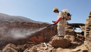 تعقيم تارودانت