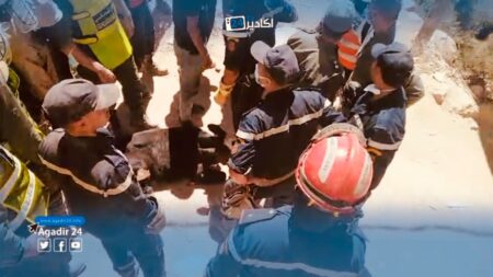 بعد خمس أيام.. رجال الوقاية المدنية ( الأبطال ) ينقذون بقرة من تحت أنقاض زلزال تارودانت المدمر