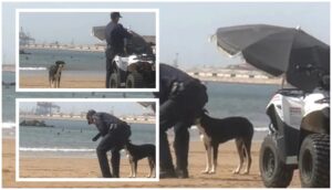 إرواء عطش كلب ضال بشاطئ أكادير من طرف شرطي يثير استحسان رواد مواقع التواصل الاجتماعي.