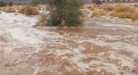 شاهد أودية بزاكوة بعد سقوط أمطار الخير بالمنطقة. شاهد أودية بزاكوة بعد سقوط أمطار الخير بالمنطقة.