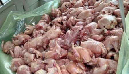 حجز أزيد من 90 كيلوغراما من الدجاج الفاسد على متن "تريبورتور"