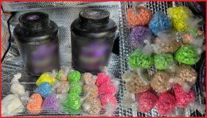 أكادير : الإطاحة بمروج للمخدرات والمؤثرات العقلية بمحطة الحافلات .