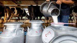 المغرب يعيش أزمة حادة في مجال إنتاج الحليب، وسط توقعات بارتفاع أسعار هذه المادة الحيوية خلال الأيام القليلة المقبلة.