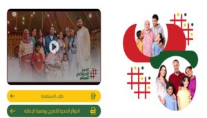 الدعم المباشر