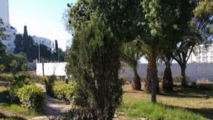 أكادير: هكذا تشكل العناصر المشردة بحديقة الإنبعاث خطرا على ساكنة حي التضامن بعد ترحيلها؟