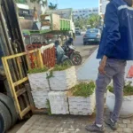 بعد حادثة السعيدية.. الجزائر توقف ثلاثة مغاربة في مياهها الإقليمية