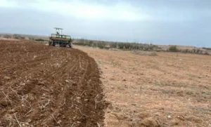 موجة البرد والصقيع تثير قلق الفلاحين، وسط مخاوف من انعكاساتها على المحاصيل الزراعية