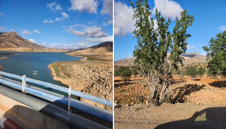 إدوتنان