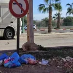 وزارة الصحة تكشف عن حقيقة انتشار متحورات كوفيد-19 بالمغرب