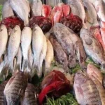 بايتاس ينبه لخطورة الوضعية المائي بالمملكة، ويكشف الإجراءات الحكومية المتخذة لمواجهة الأزمة