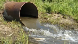 سقي أراضي بالمياه العادمة يهدد المنتوجات الزراعية وينذر بكارثة حقيقية