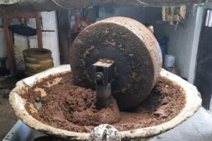 مطالب بمراقبة معاصر الزيتون والعمل على وقف نشاط المخالفة منها للضوابط الصحية