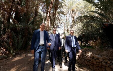 أخنوش يتفقد مجموعة من المشاريع التنموية بعدد من الجماعات الترابية التابعة لإقليم تزنيت ويعطي انطلاقة أخرى