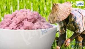 أرز لحم البقر: ابتكار كوري قد يغير مستقبل الغذاء 8 الارز الأحمر