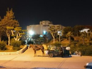 العربات المجرورة بواسطة الدواب