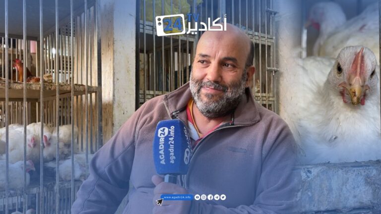 + فيديو..ارتفاع صاروخي لأسعار الدواجن في أكادير مع اقتراب رمضان: تاجر يكشف الأسباب