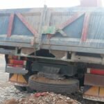 بعد أكادير.. مواطنون بالصويرة يدقون ناقوس الخطر بشأن الخنزير