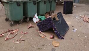 أكادير : العثور على عظام وجماجم حيوانات في حاوية للأزبال