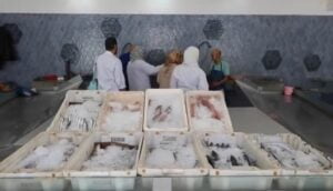 أكادير : حملات واسعة لمراقبة جودة المنتجات الغذائية بمختلف الأسواق