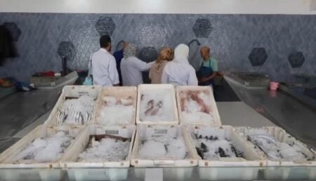 أكادير : حملات واسعة لمراقبة جودة المنتجات الغذائية بمختلف الأسواق