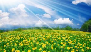 الاعتدال الربيعي يُعلن انتهاء الشتاء وبداية الربيع في نصف الكرة الشمالي 5 Its officially the beginning of spring