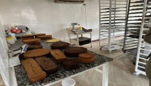 Legumes fruits et aliments avaries 2