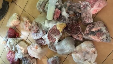 ضبط أزيد من 60 كيلوغراما من لحوم الذبيحة السرية واللحوم الفاسدة ضبط أزيد من 60 كيلوغراما من لحوم الذبيحة السرية واللحوم الفاسدة