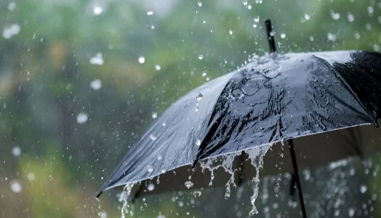 Pluie orageuse