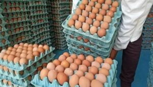 Prix ​​des oeufs