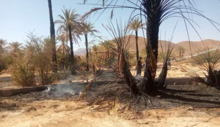 سوس ماسة : النيران تحول واحة بطاطا إلى رماد