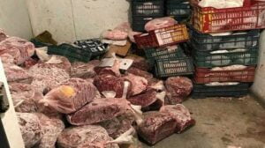 حجز أزيد من 300 كيلوغرام من اللحوم الفاسدة الموجهة لبطون المستهلكين 3 Spoiled meat