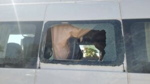 الهجوم على حافلة لنقل العمال الزراعيين من طرف عصابة مدججة بالأسلحة (+صور) 11 Bus for transporting agricultural workers 2