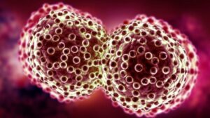 اكتشاف ثوري: مضادات حيوية قد تُصبح أداة جديدة لمكافحة السرطان 2 Cancerous