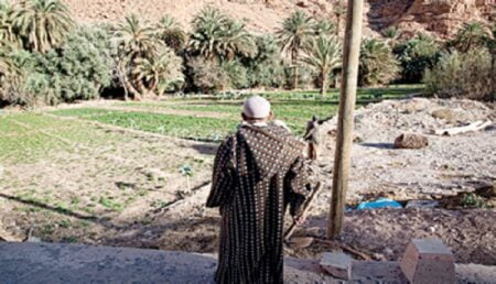 اندثار المساحات المزروعة بسبب الجفاف يقلق وزارة الفلاحة، وصديقي يوضح بخصوص الموضوع