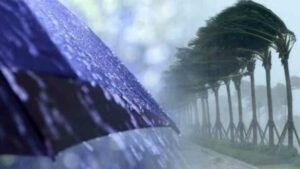 Pluie orageuse et vents forts