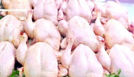 مهنيون يتوقعون زيادة جديدة في أسعار الدجاج تزامنا مع اقتراب "العواشر"
