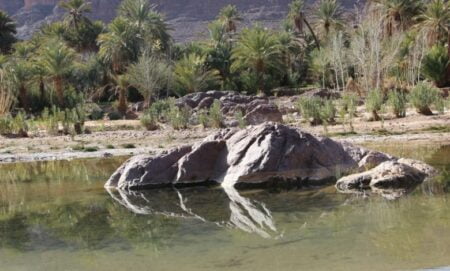 مصـ.ـرع طفل غرقاً في نهر “تانسيفت” وسط صدمـ.ـة أفراد أسرته