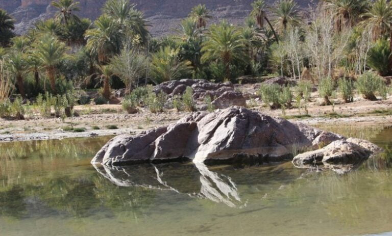 مصـ.ـرع طفل غرقاً في نهر “تانسيفت” وسط صدمـ.ـة أفراد أسرته