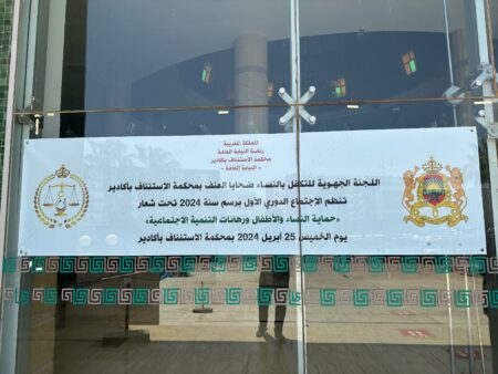 اجتماع اللجنة الجهوية للتكفل بالنساء ضحايا العنف بالدائرة القضائية لمحكمة الاستئناف بأكادير،