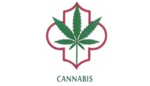 cannabis