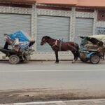فاجعة.. مصرع 3 أشخاص و إصابة آخرين في حادثة سير مروعة (صور)