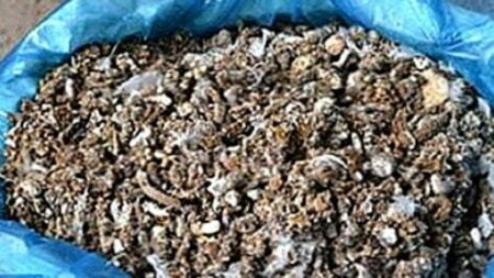 مع اقتراب عيد الأضحى.. حجز 30 طنا من فضلات الدواجن