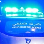 خبراء مغاربة يبسطون طرق التعامل مع جدري القردة، ويدعون إلى حملة تطعيم واسعة