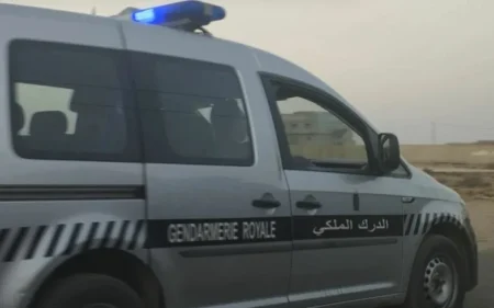 حجز طنين من الحليب المجفف المهرب "نيدو" بتزنيت