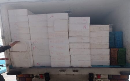 كوكبة الدراجات النارية لأكادير تضرب بقوة و تحجز 8 أطنان من الأسماك دون مبرر للأصل. (+التفاصيل) كوكبة الدراجات النارية لأكادير تضرب بقوة و تحجز 8 أطنان من الأسماك دون مبرر للأصل. (+التفاصيل)
