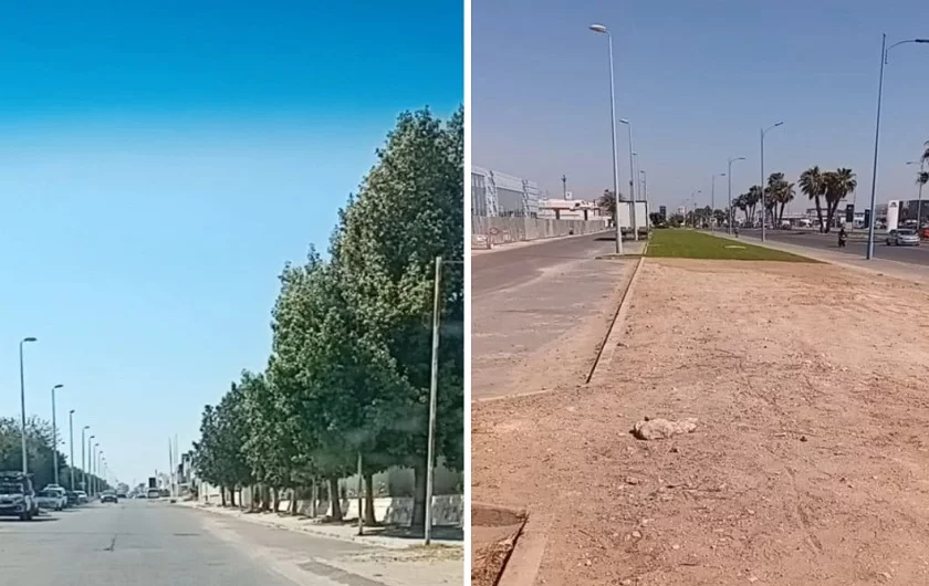 قطع أشجار يثير استياء ساكنة حيَّيْن بأكادير، وسط مطالب بتوضيح ملابسات الموضوع