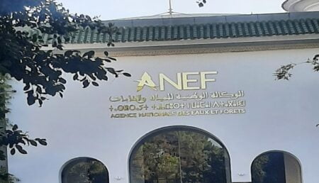 بعد إثارته جدلا واسعا.. مسؤول بالوكالة الوطنية للمياه والغابات يوضح بخصوص إحداث المنتزه الطبيعي للأطلس الصغير الغربي بسوس