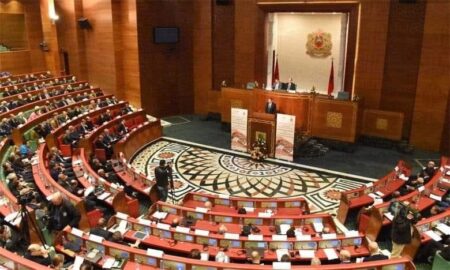 ظاهرة انتشار الكلاب الضالة بأحياء مدينة أكادير تصل إلى قبة البرلمان.