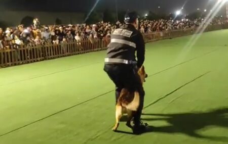 تدريب للكلاب البوليسية في معرض الأبواب المفتوحة للأمن الوطني بأكادير.