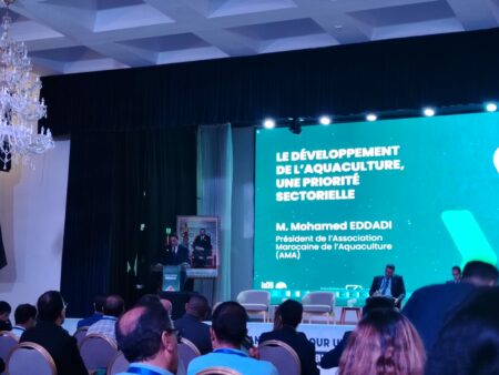“فرص التمويل لتعزيز تنافسية قطاع تربية الأحياء البحرية” شعار ندوة بمدينة أكادير "فرص التمويل لتعزيز تنافسية قطاع تربية الأحياء البحرية" شعار ندوة بمدينة أكادير